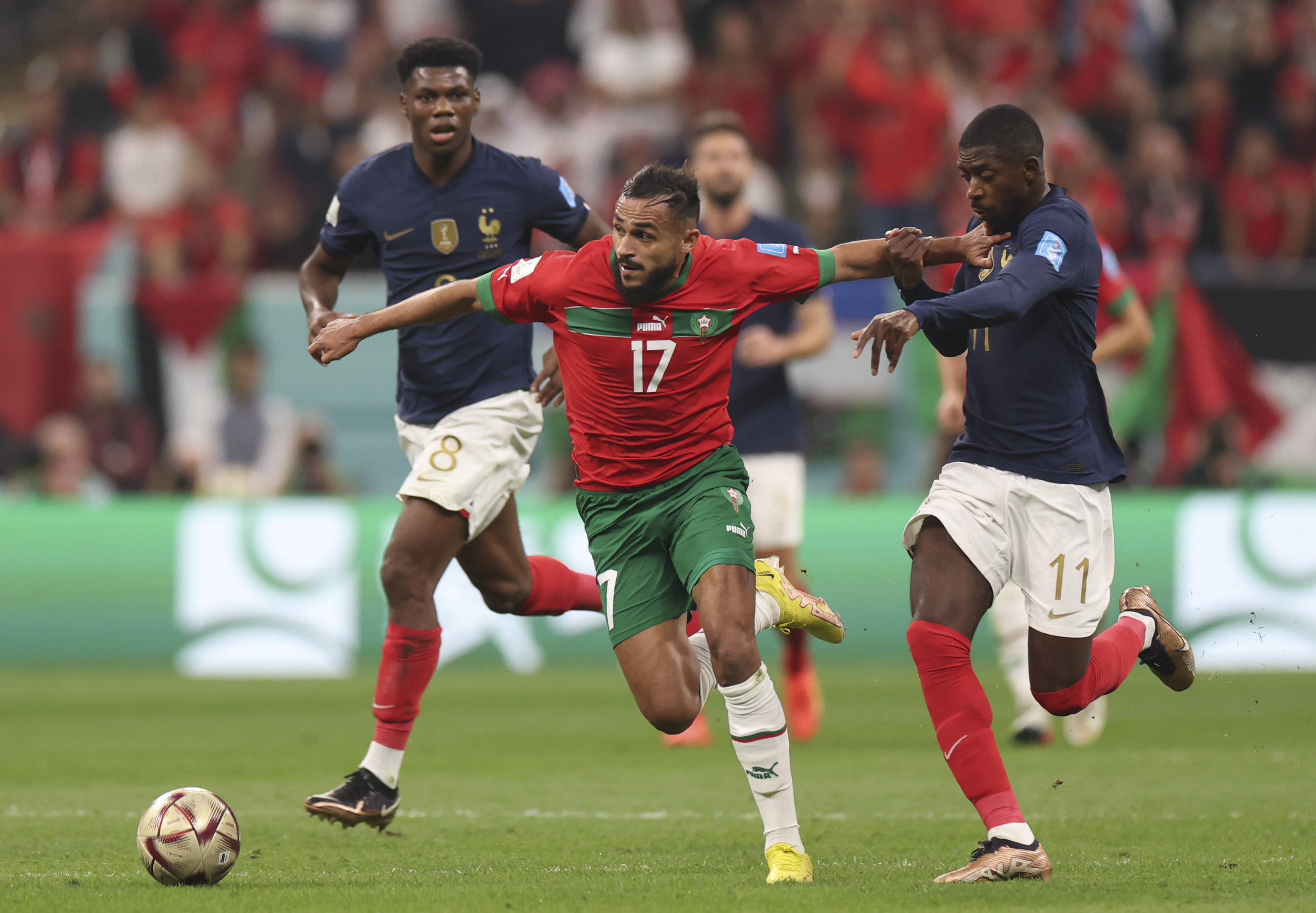 多所在球队 多所在球队