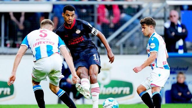 总的来说 总的来说