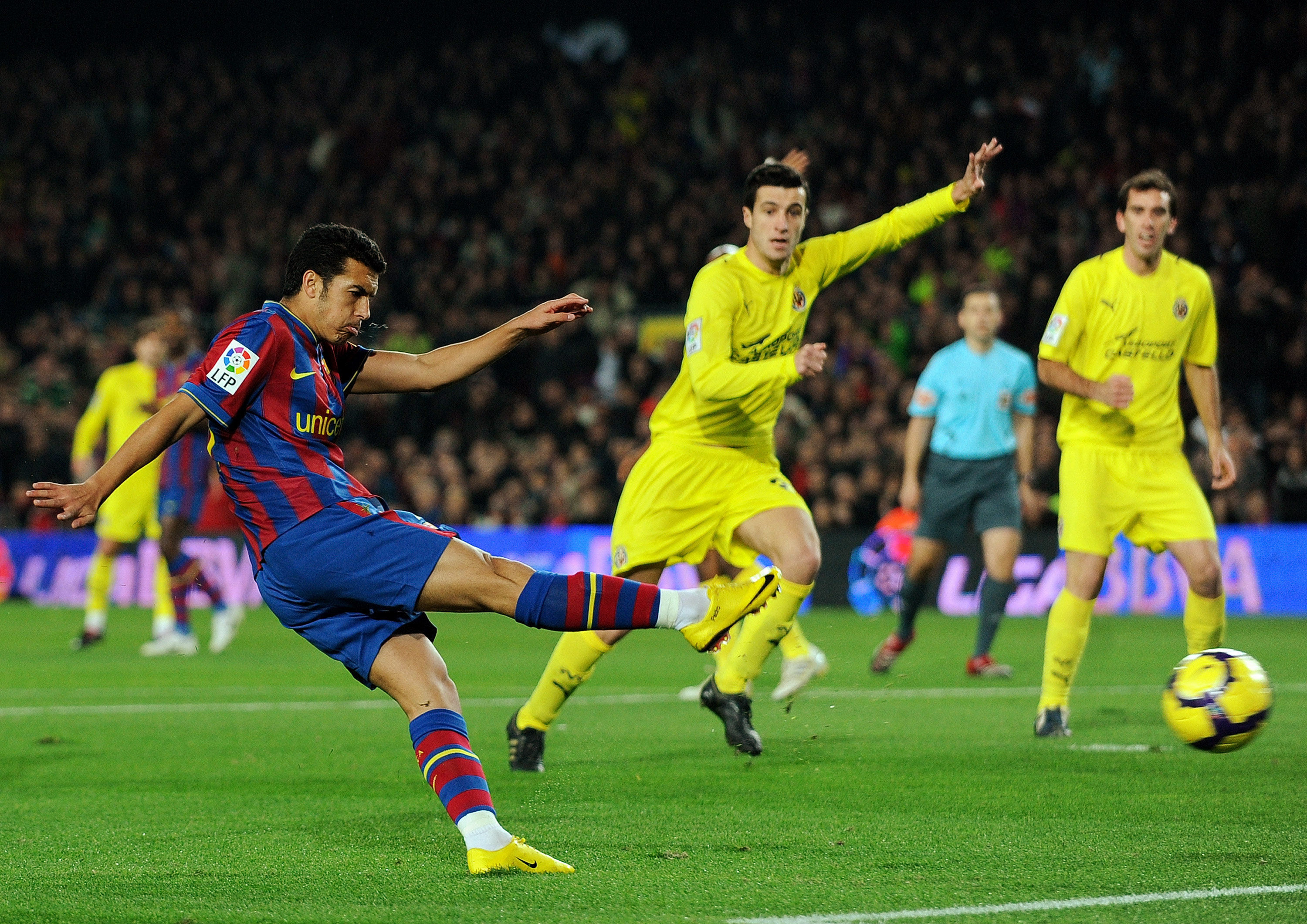 锋与小龙的 锋与小龙的